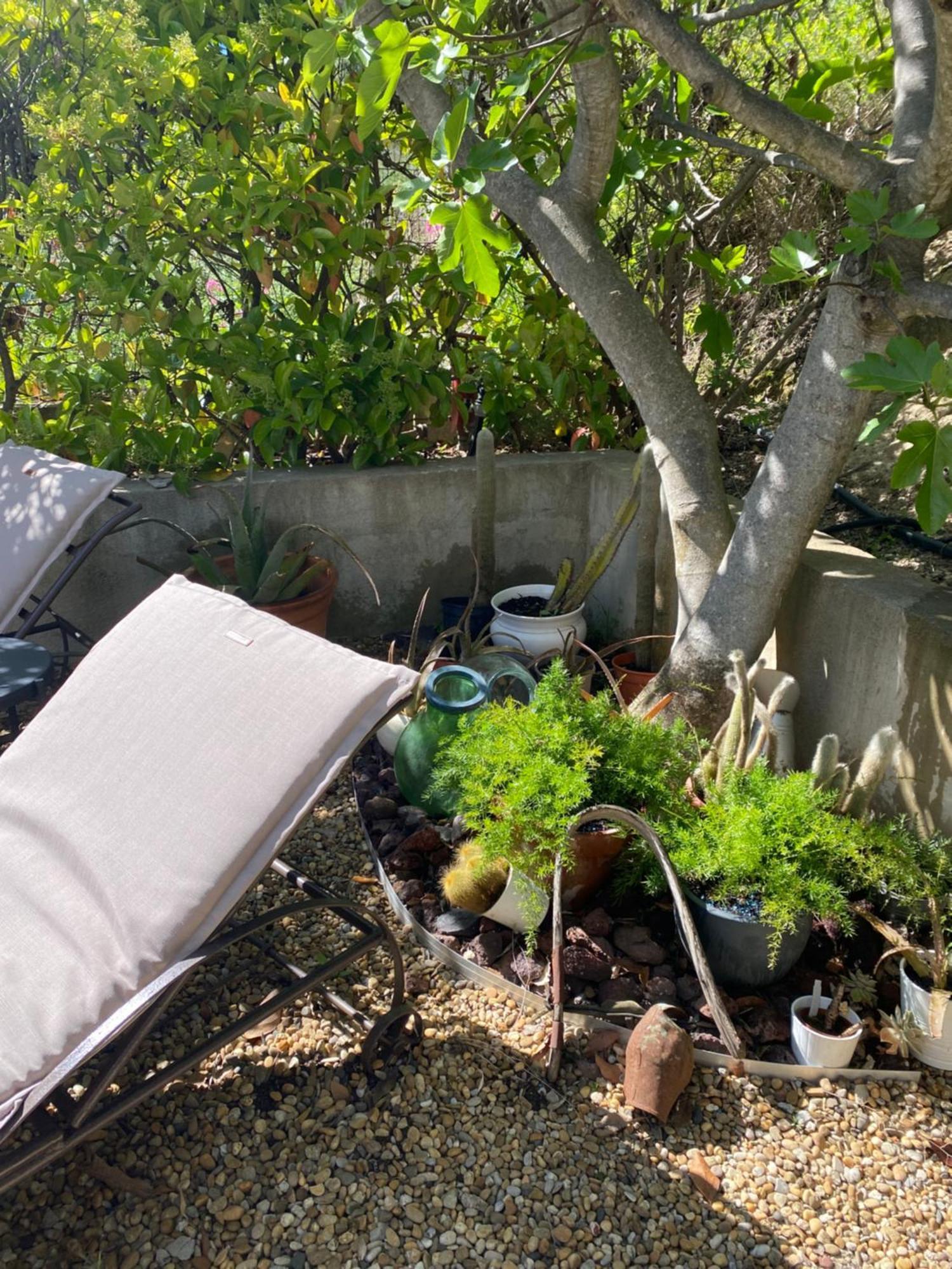 Le Clos De La Chevre Sud La Cadière-d’Azur Kültér fotó